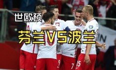 开云体育下载-波兰队保持连胜，晋级欧锦赛决赛
