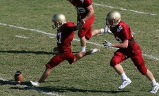 开云体育APP下载-兹维列夫的选择，温网王冠如何轻取戴维斯杯的集体荣誉？