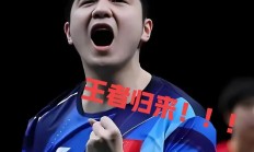 开云平台-中国队横扫韩国队，樊振东刷新纪录