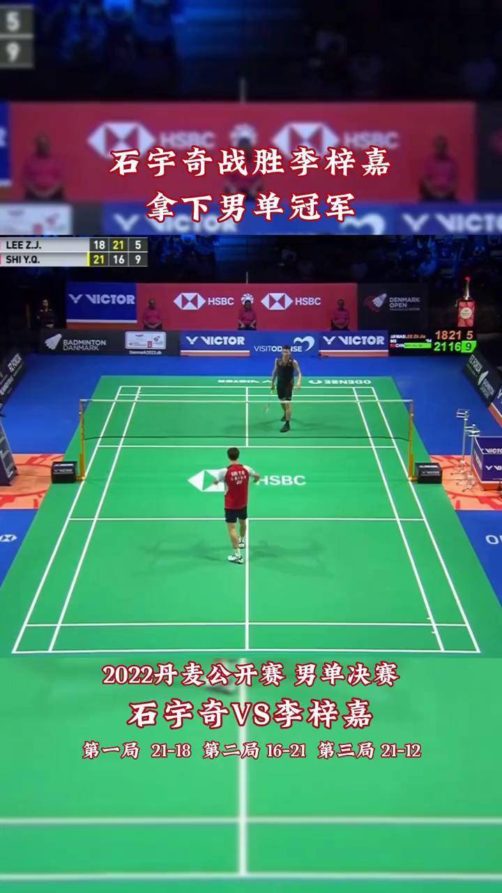 丹麦队战胜对手，晋级欧锦赛