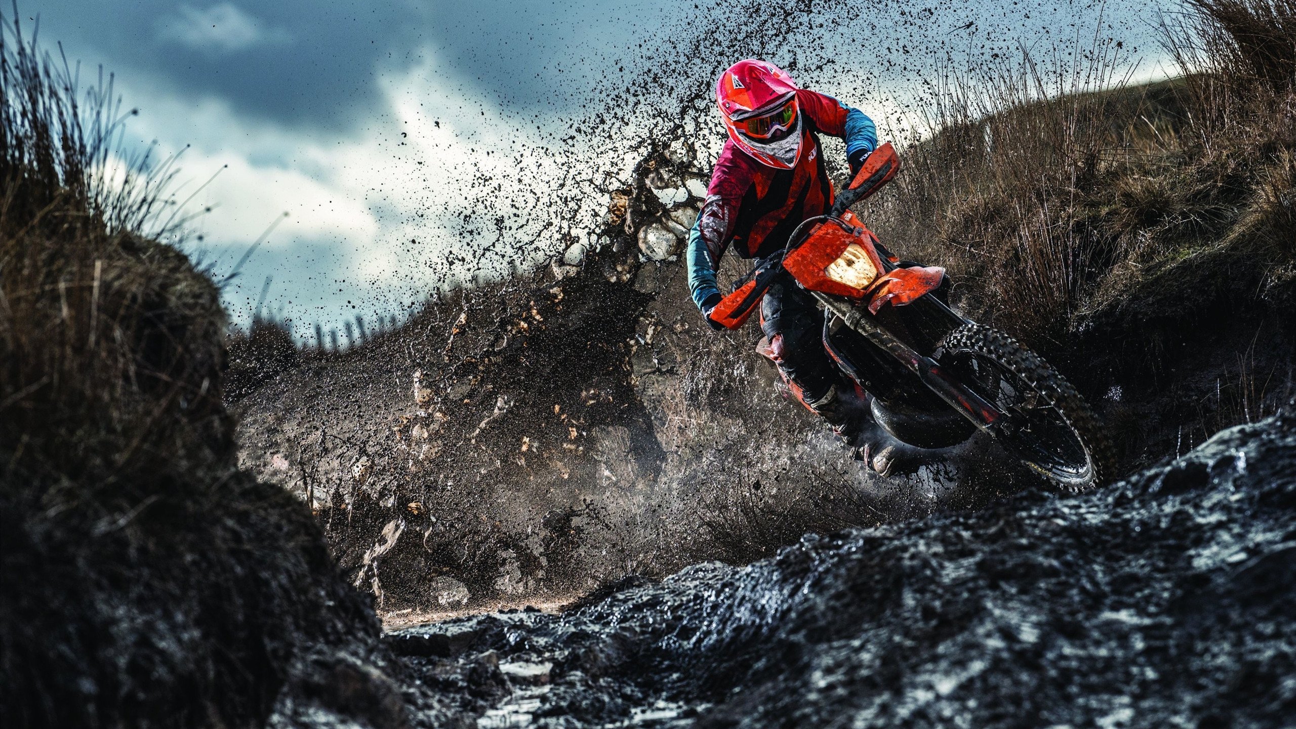 逆转与接管，北京队与福克斯的体育传奇